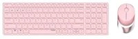 Rapoo Tastatur- und Maus-Set