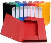 EXACOMPTA Archivcontainer 10x Archivbox R&uuml;cken 50mm Karton +3Klappen Gummizug...