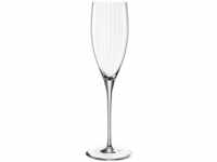 Leonardo 6er-Set Champagnerglas Poesia rose 250 ml