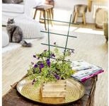 Windhager Rankgitter f&uuml;r hochwachsende Topfpflanzen, Blumenst&uuml;tze aus Kunststoff, 1