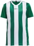 Craft Handballtrikot Progress Jersey Stripe JR