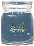 Yankee Candle Duftkerze Bayside Cedar Signatur Kerze Medium 368 g