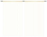 vidaXL Fadenvorhang, Fadengardinen 2 Stk. 100 x 250 cm Cremefarben