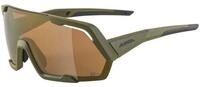 Alpina Sonnenbrille Alpina Sportbrille ROCKET Q-LITE A8679