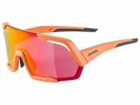 Alpina Sonnenbrille Alpina Sportbrille ROCKET Q-LITE A8679