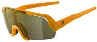 Alpina Fahrradbrille Brille ROCKET YOUTH Q-LITE