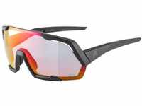 Alpina Sonnenbrille Alpina Sportbrille ROCKET QV A8676