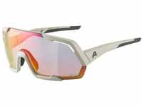 Alpina Sonnenbrille Alpina Sportbrille ROCKET QV A8676