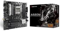 Biostar Mainboard