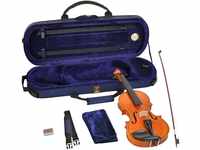 Steinbach Violine 1/8 Geige im SET Ebenholzgarnitur wunderschön geflammt