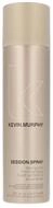 KEVIN MURPHY Haarpflege-Set Session Spray