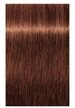 Schwarzkopf Haarfarbe Schwarzkopf Igora Royal Dusted Rouge Take Over 7-76 60ml
