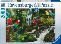 Ravensburger Puzzle Bunte Papageien im Dschungel, 2000 Puzzleteile, Made in...