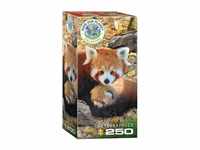 Eurographics Rote Pandas Puzzle (250 Teile)