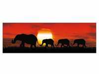 The Wall Art Sunset Elefants 90x29cm
