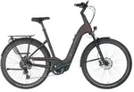 Pegasus E-Bike Pegasus Strong Evo 10 Lite 625 Wh Damen rot 2024, 10 Gang SHIMANO
