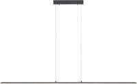 Neuhaus PURE LED Pendelleuchte PURE Lite, CCT - &uuml;ber Fernbedienung, LED fest