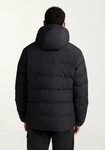 Jack Wolfskin Daunenjacke COLONIUS JKT M RDS mit abnehmbarer Kapuze, winddicht,