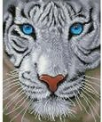 BrainBox Spiel DIAMOND DOTZ - Diamond Painting Weisser Tiger