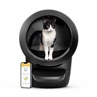 Whisker Katzentoilette Litter Robot 4 automatisches Katzenklo, Litter-Robot 4 Schwarz
