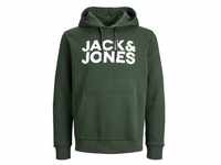 Jack & Jones Herren Hoodie Kapuzenpullover Pullover JJECORP Mountain View Reg /Large