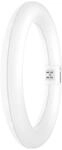 OSRAM LED-R&ouml;hre T9, Ringform, G10q, EEK: E, 11W, 1320lm, 6500K