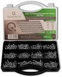 QUADRIOS Schrauben-Set 2109SA047, Stahl, 550 St&uuml;ck