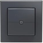 HOMEMATIC IP 161869A0 Wandtaster 2-fach anthrazit