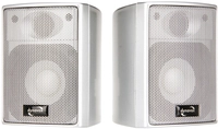 DYNAVOX Satelliten-Lautsprecher AS-301, silber