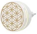 Primavera Aroma Duftstecker Easy