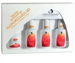 Martina Gebhardt Rose Pflegeset
