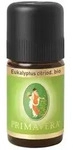 Primavera Eukalyptus citriodora bio