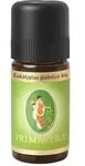 Primavera Eukalyptus globulus bio 10ml