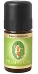 Primavera Karottensamen Marokko