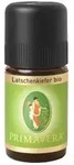 Primavera Latschenkiefer bio