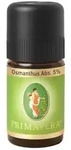 Primavera Osmanthus Absolue 5% Australien