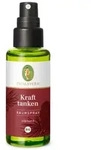 Primavera Raumspray Kraft tanken