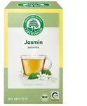 Lebensbaum Jasmin Gr&uuml;ntee bio (20Btl)