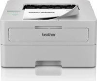Brother HLL2865DWRE1, Brother HL-L2865DW - Drucker - s/w - Duplex
