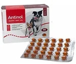 180 Kapseln Antinol f&uuml;r Hunde