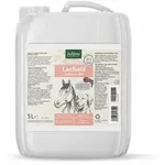 5 Liter AniForte Lachs&ouml;l
