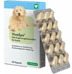 30 Tabletten VivoSyn