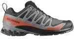 Salomon Herren XA Pro 3D V9 GTX grau 42.0