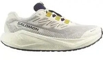 Salomon Herren Aero Blaze 3 Gravel GTX beige 44.0