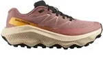 Salomon Damen Ultra Flow 2 GTX braun 42.0