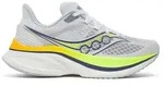 Saucony Damen Endorphin Speed 5 wei&szlig; 43.0