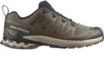 Salomon Herren Xa Pro 3D V9 braun 46.6