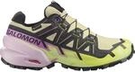 Salomon Damen Speedcross 6 GTX bunt 40.0
