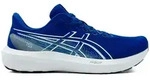 Asics Herren GT-1000 15 blau 45.0