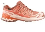Salomon Damen Xa Pro 3D V9 GTX braun 42.0